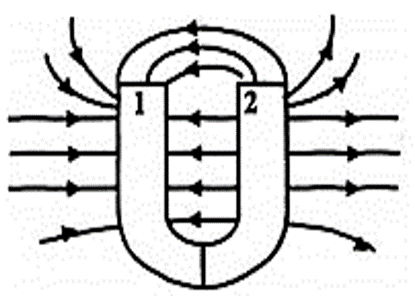 LXI AI