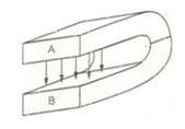 LXI AI